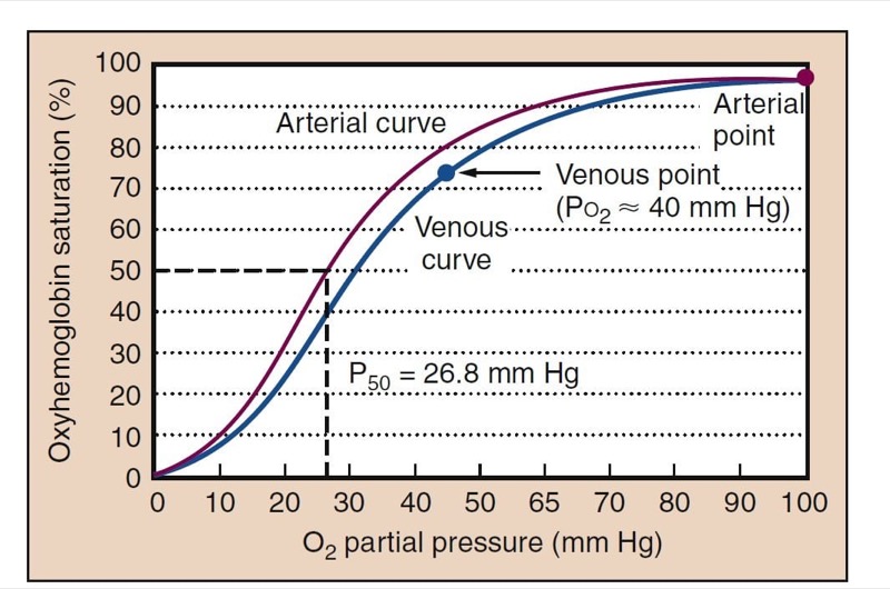 Pulmonary aspiration - NYSORA